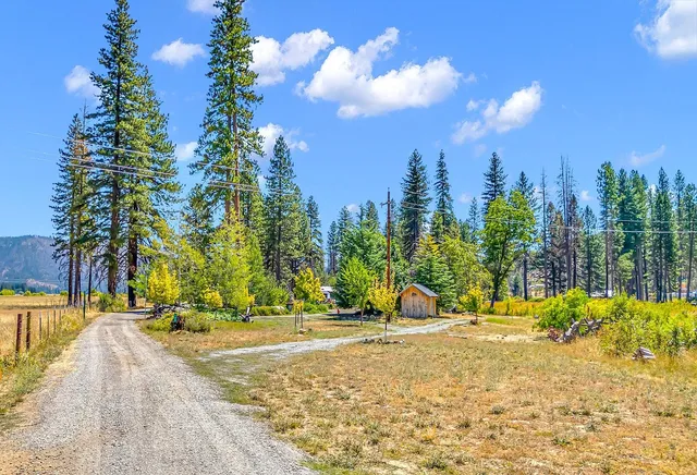 a view of road with palm trees