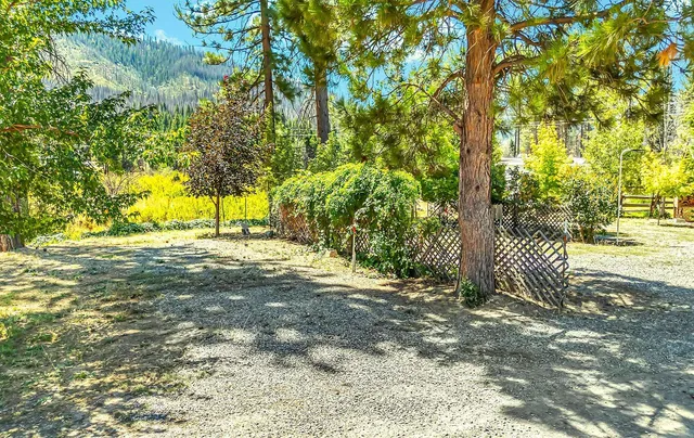 a view of yard with tree