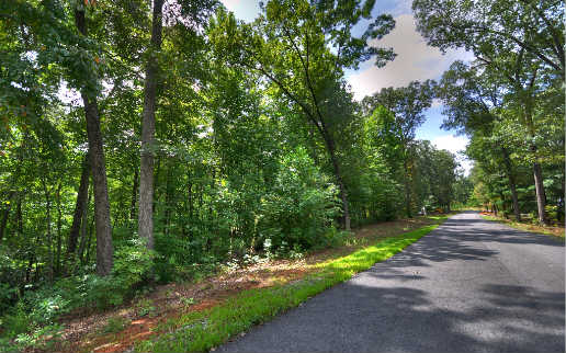 36 Ivy Ridge Mineral Bluff, GA 30559 - Photo 1 of 4 Main View