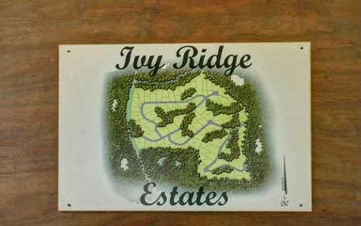 36 Ivy Ridge Mineral Bluff, GA 30559 - Photo 3 of 4 Additional View