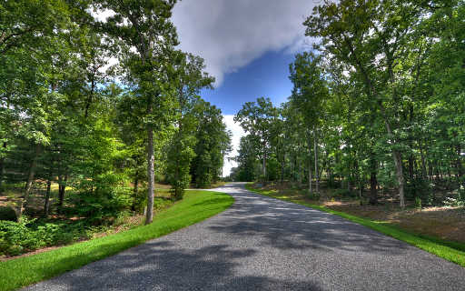 36 Ivy Ridge Mineral Bluff, GA 30559 - Photo 4 of 4 Additional View