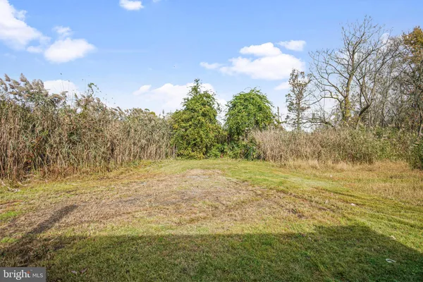 a view of beach and yard