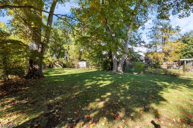 a huge green field with lots of trees