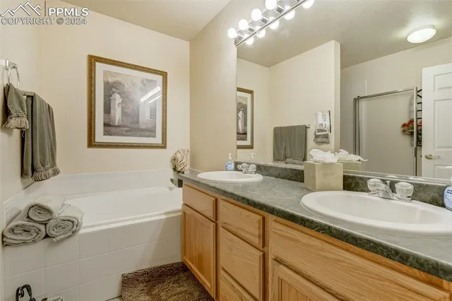 a bathroom with a tub a double vanity sink and a mirror