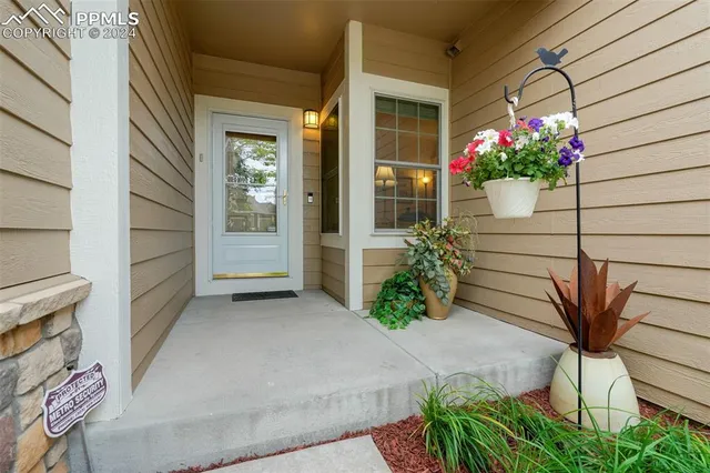 a view of a potted plant in front of a door