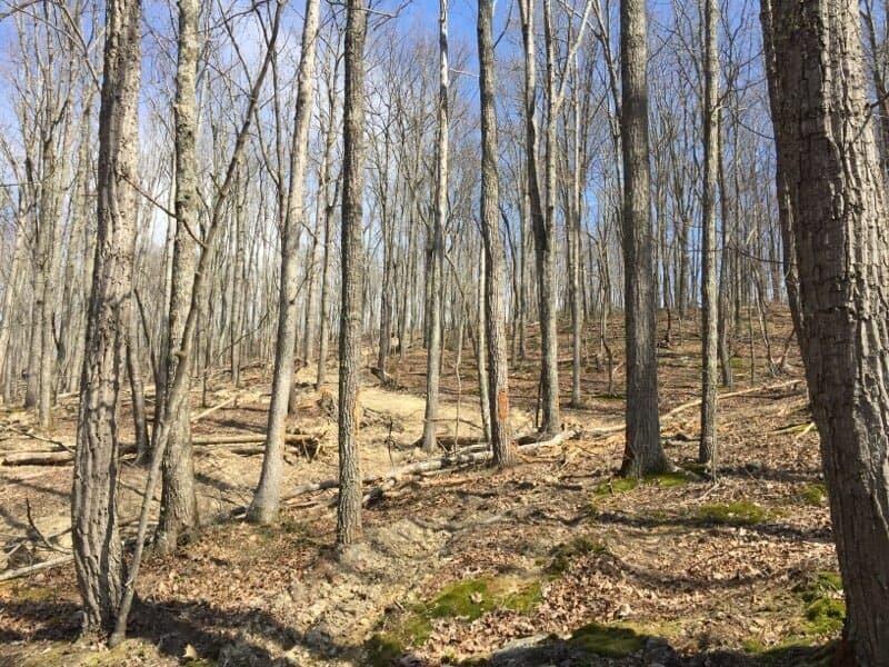 3006 Piney Grove Road Somerset, KY 42501 - Photo 11 of 52 34