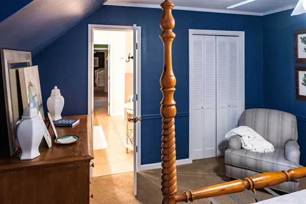 a view of a yard with plants and trees