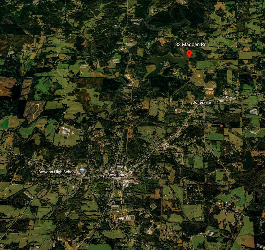 183 Madden Road Bowdon, GA 30108 - Photo 79 of 79 a view of a tree