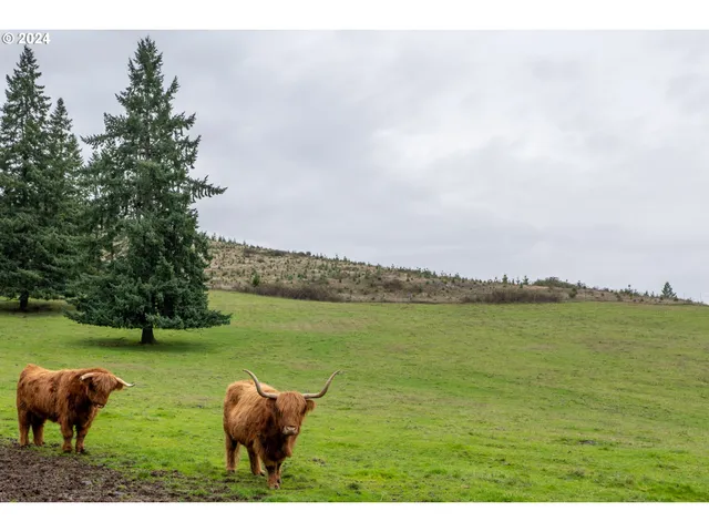 $2,800,000 | 841 Skelly Road, Yoncalla, OR 97499