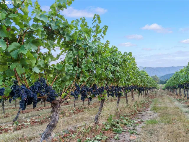 $2,800,000 | 841 Skelly Road, Yoncalla, OR 97499