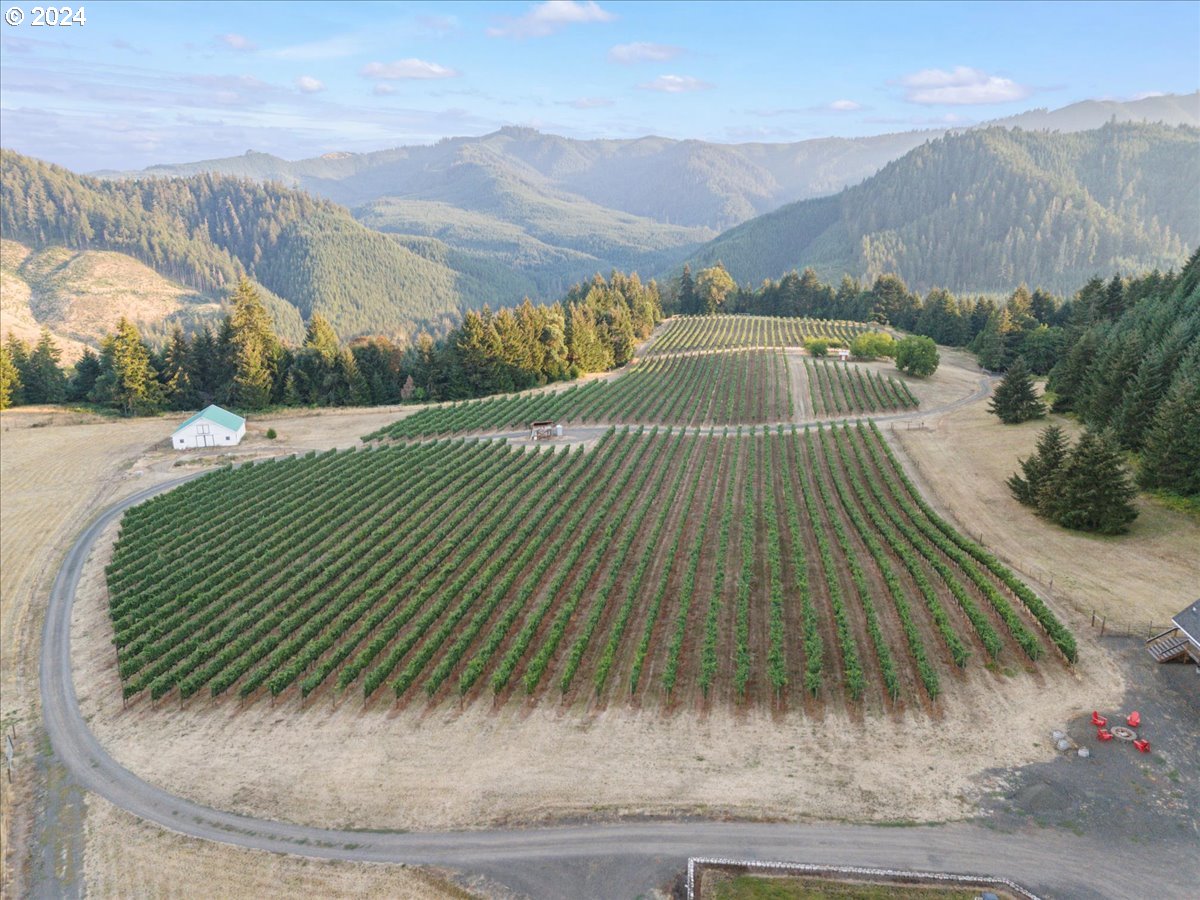 841 Skelly Road Yoncalla, OR 97499 - Photo 42 of 48