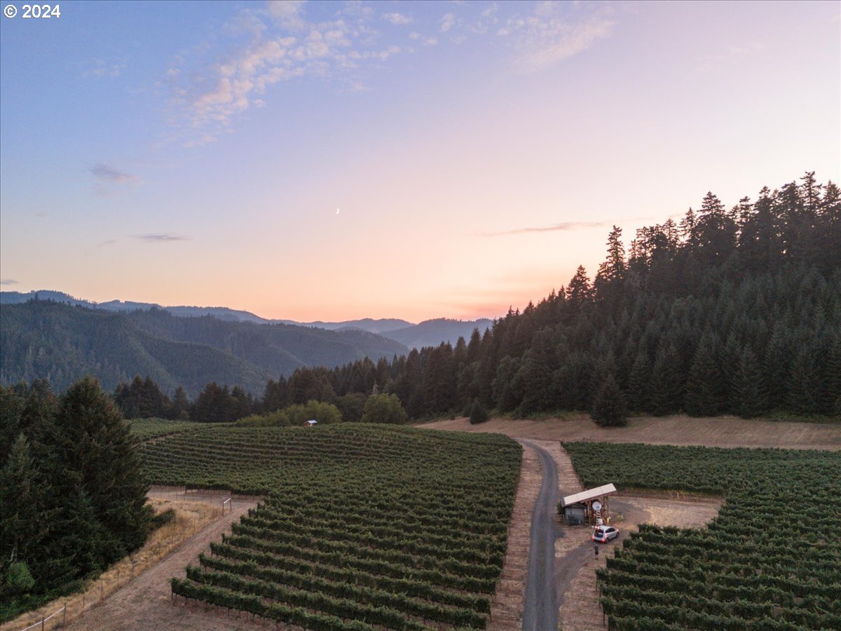 841 Skelly Road Yoncalla, OR 97499 - Photo 45 of 48