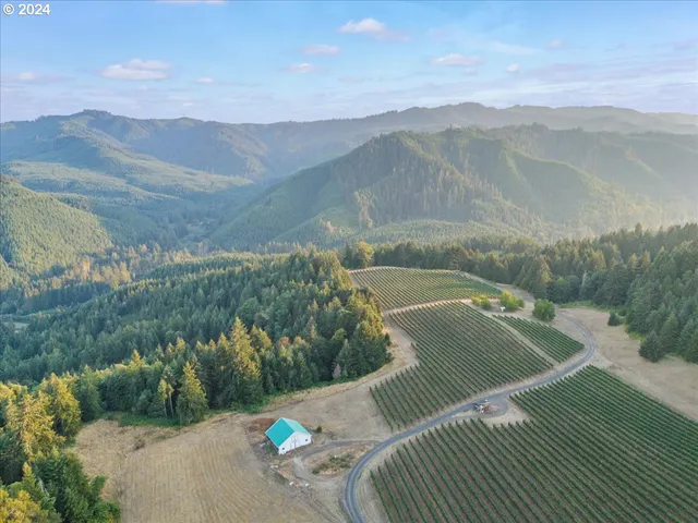$2,800,000 | 841 Skelly Road, Yoncalla, OR 97499