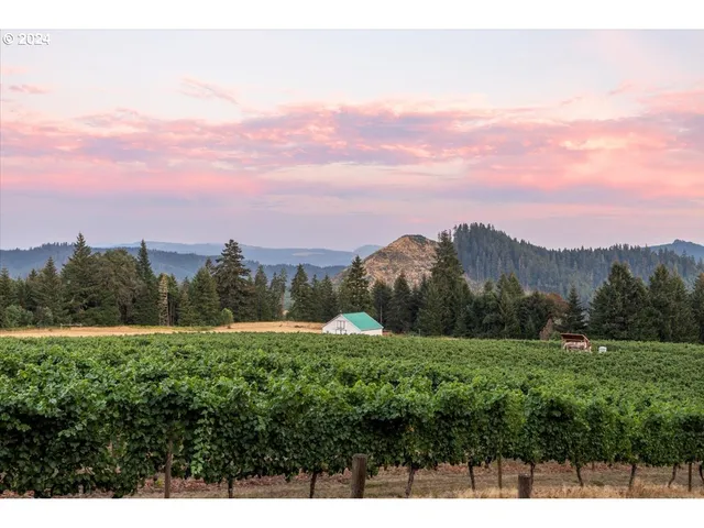 $2,800,000 | 841 Skelly Road, Yoncalla, OR 97499