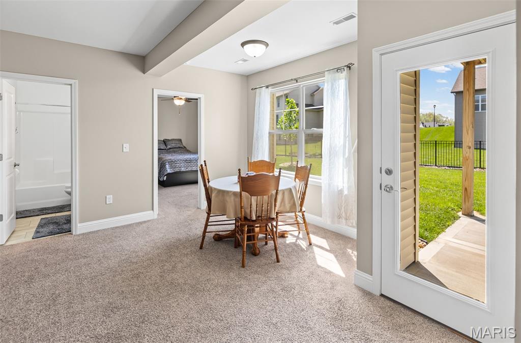 8048 Radcliffe Place Troy, IL 62294 - Photo 33 of 49