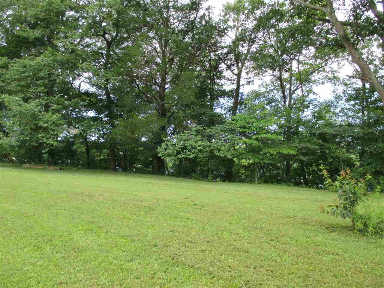 0 Cunningham Drive Decatur, TN 37322 - Photo 28 of 34 Gallery Image 28