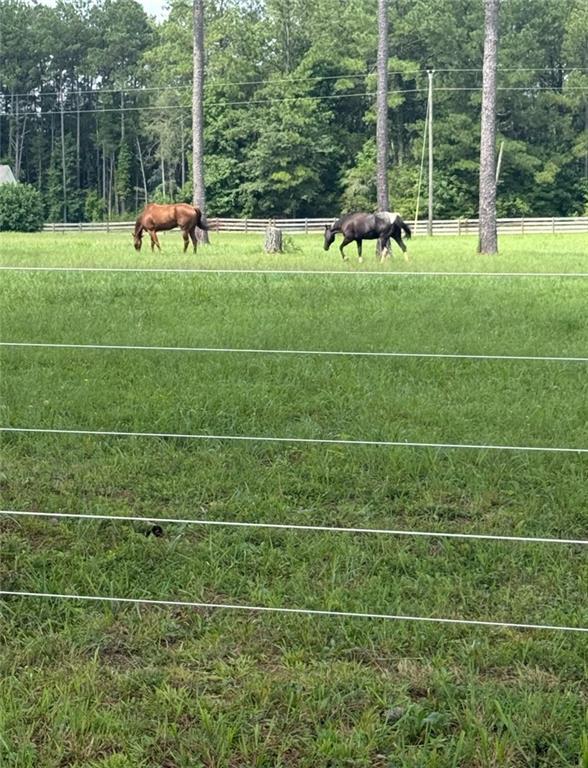 950 Island Shoals Road Jackson, GA 30233 - Photo 19 of 23 a view of a park