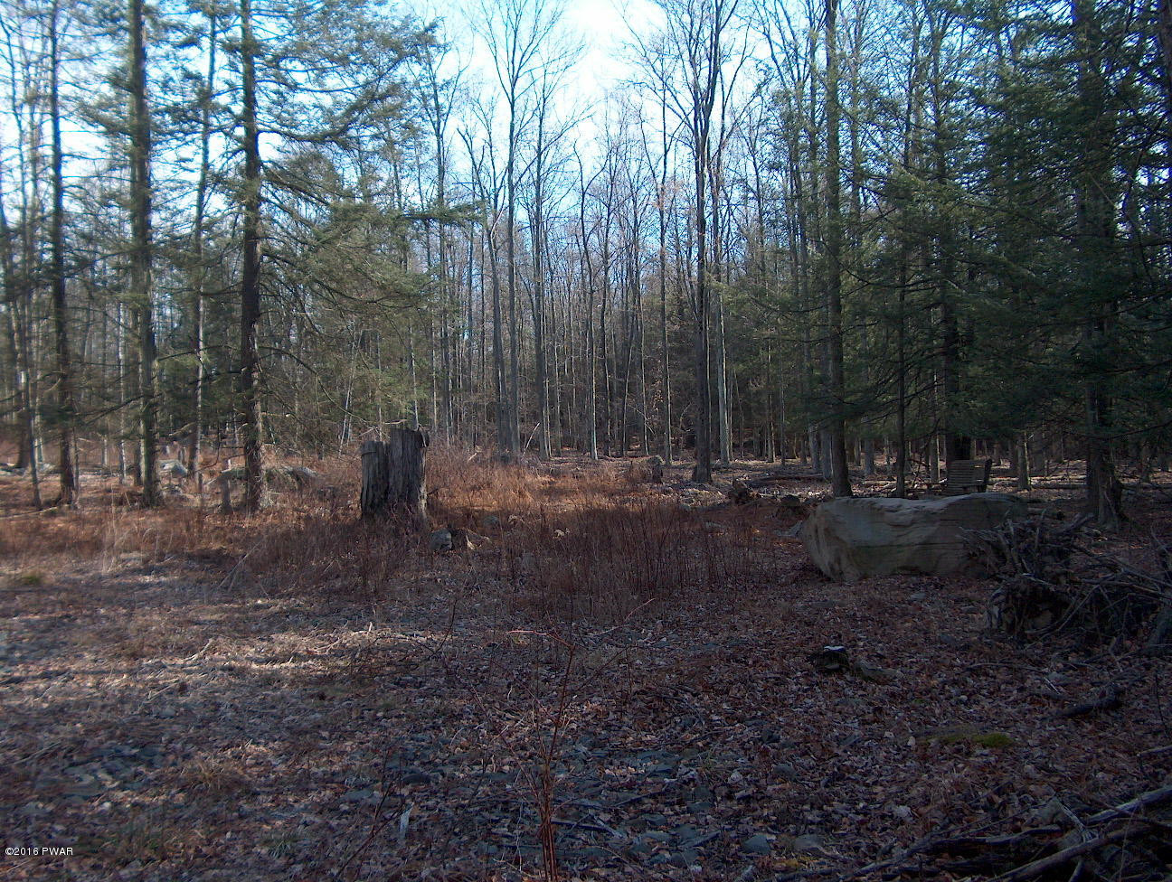 114 Phillips Road Newfoundland, PA 18445 - Photo 3 of 7