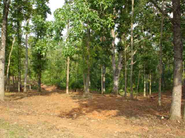 Lot 4 Ross Road Liberty, SC 29657 - Photo 2 of 5