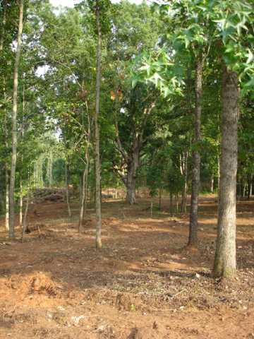 Lot 4 Ross Road Liberty, SC 29657 - Photo 3 of 5