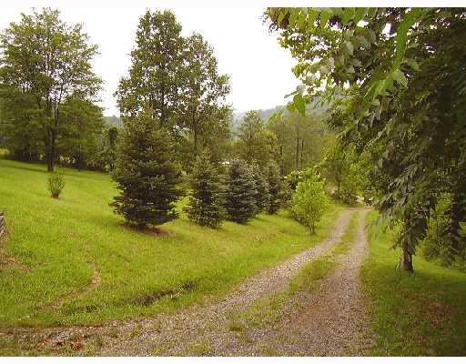 1080 Garards Fort Road Waynesburg, PA 15370 - Photo 6 of 8 Land/Lot.