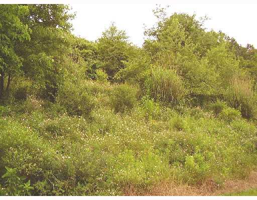 1080 Garards Fort Road Waynesburg, PA 15370 - Photo 8 of 8 Land/Lot.