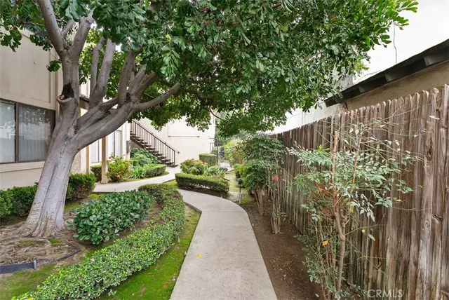 a view of a pathway in a garden