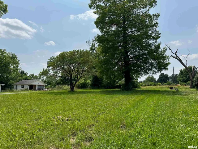 $11,000 | 301 North Chestnut Street, Christopher, IL 62822
