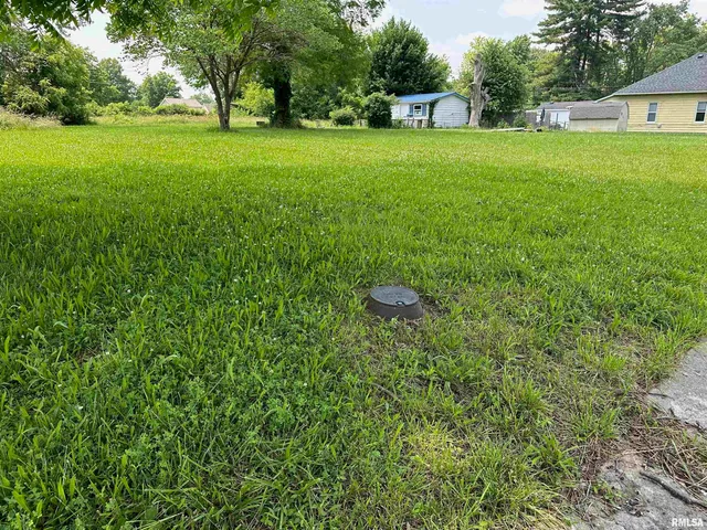 $11,000 | 301 North Chestnut Street, Christopher, IL 62822