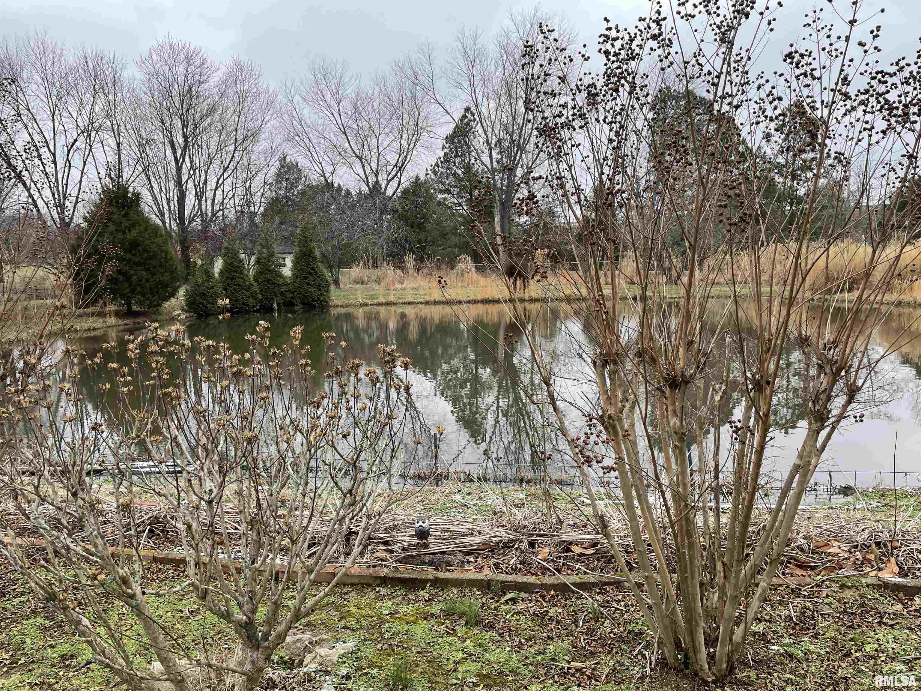 2817 Nielson Crossing Road Marion, IL 62959 - Photo 7 of 26 Gallery Image 7