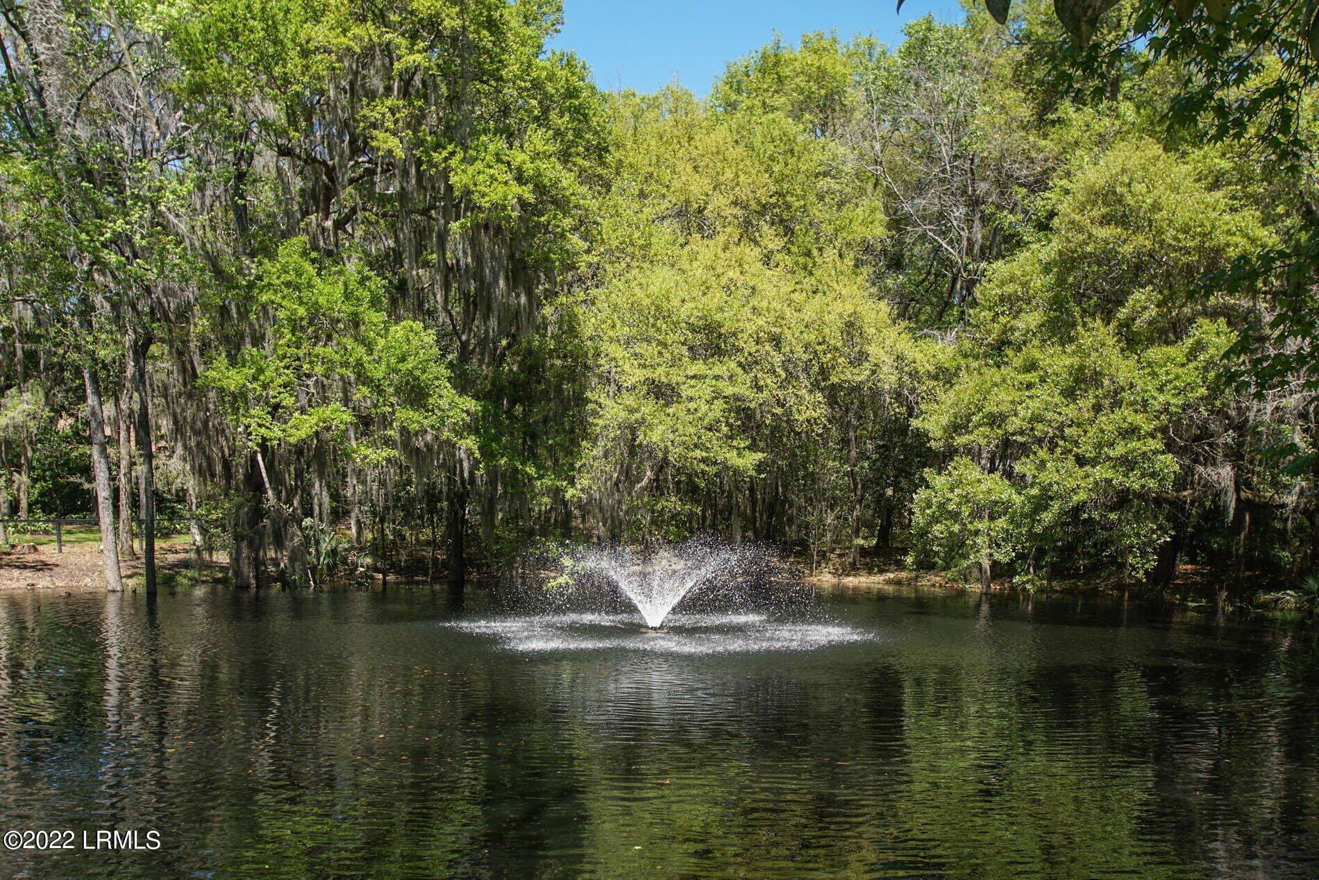 31 Mises Road Beaufort, SC 29907 - Photo 8 of 12 DSC09915-1.jpg-SMALL