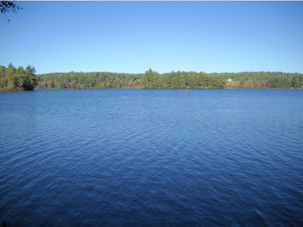 97 Pine Cliff Road Alstead, NH 03602 - Photo 8 of 35