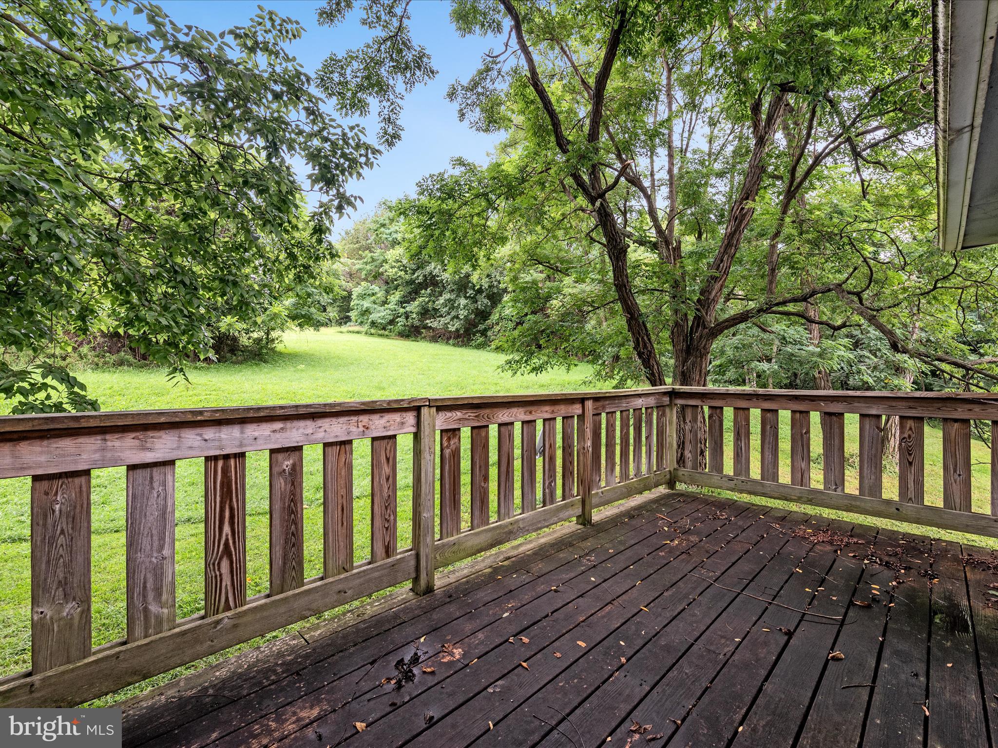 1235 South River Road Front Royal, VA 22630 - Photo 41 of 73 Deck from Garage apartment