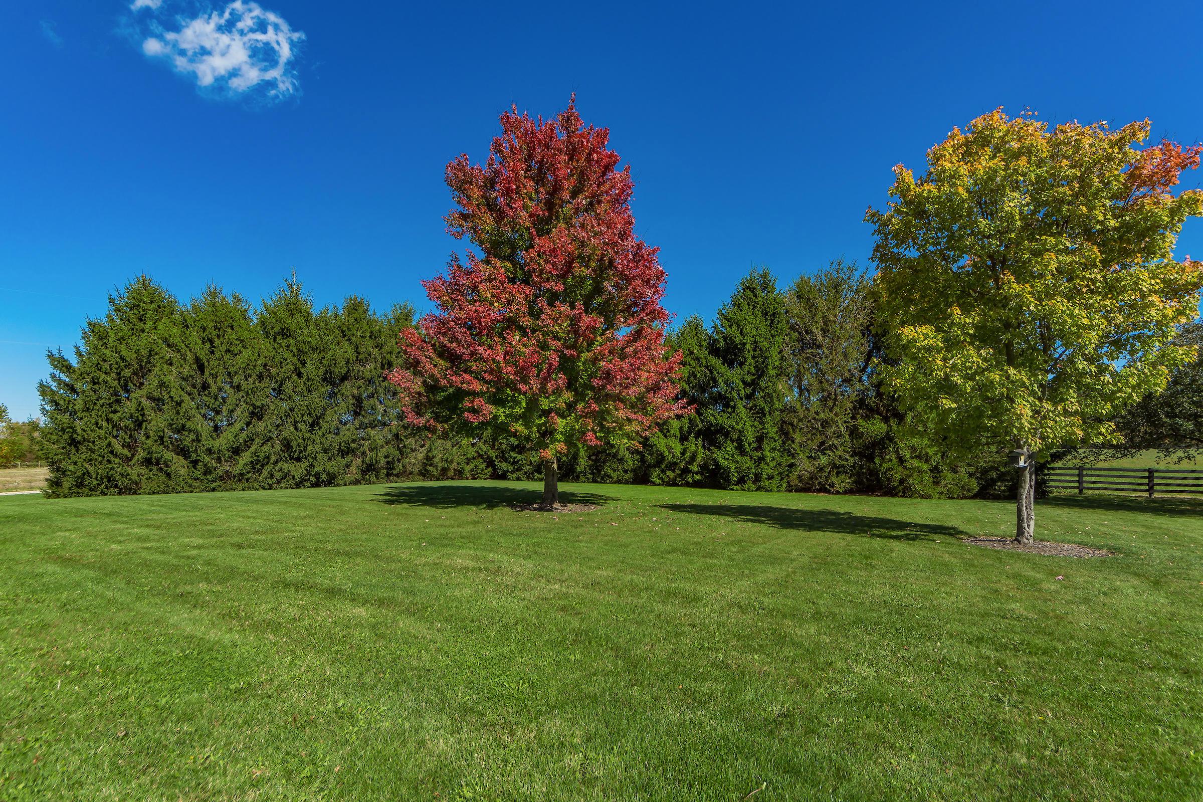 4399 Fry Road Ostrander, OH 43061 - Photo 85 of 106 Gallery Image 85