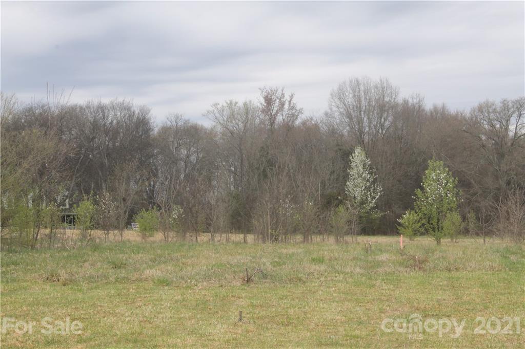 0 Cochran Road, Unit 3 Concord, NC 28027 - Photo 2 of 4 Gallery Image 2