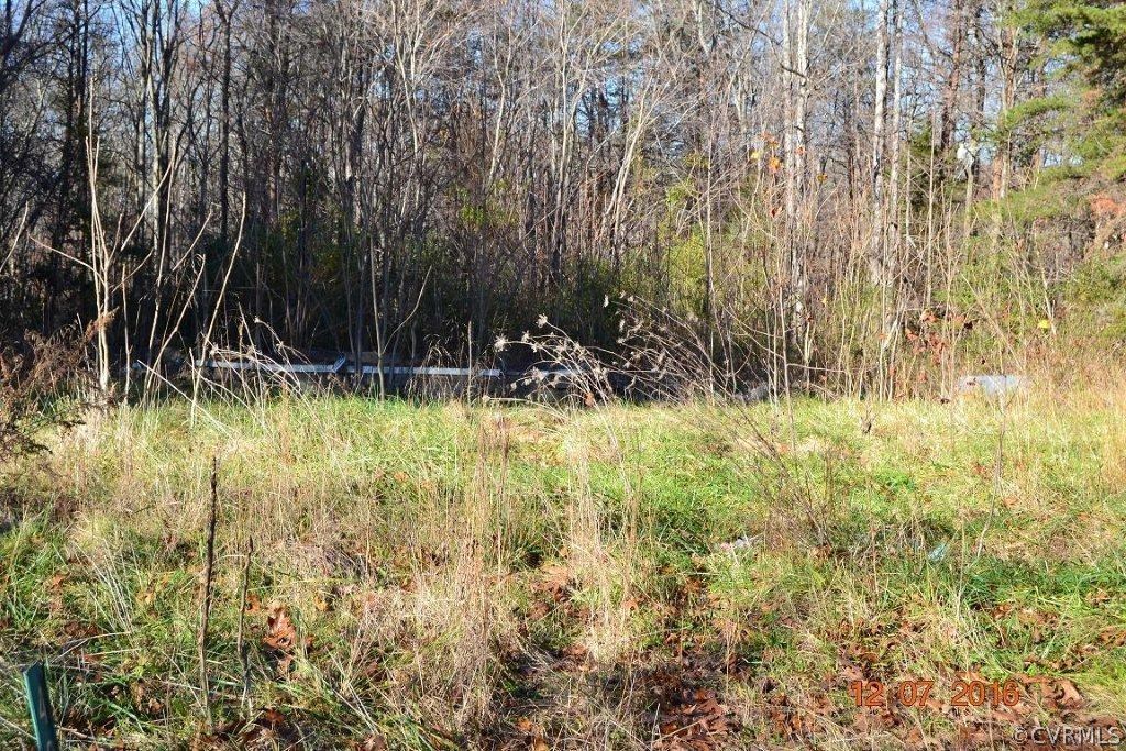 401 Pineview Road Prospect, VA 23960 - Photo 2 of 3 a view of backyard with tree