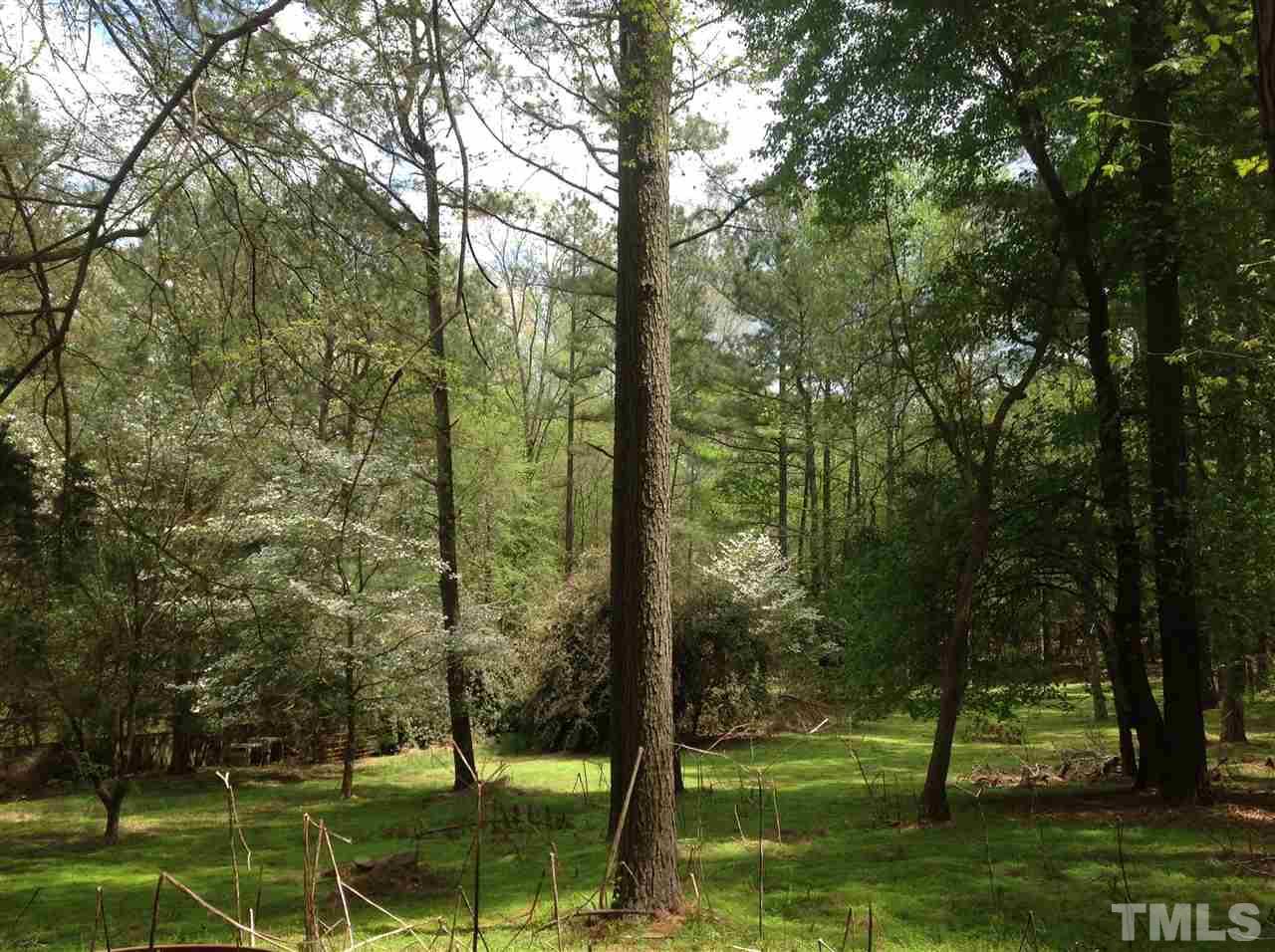 0 Steven Taylor Road Wake Forest, NC 27587 - Photo 6 of 10 This Interior View shows the Mature Pines and Hardwoods growing on the Property in a Park Like Setting.