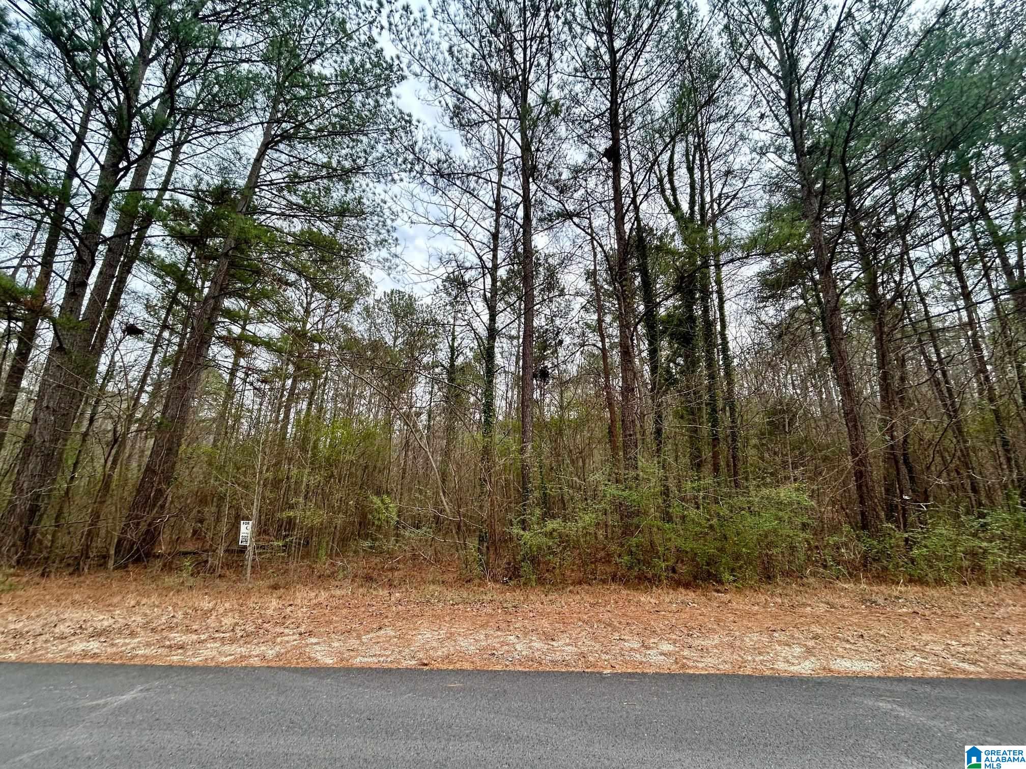 Sequoyah Road, Unit TRACT 5 Pell City, AL 35128 - Photo 1 of 5