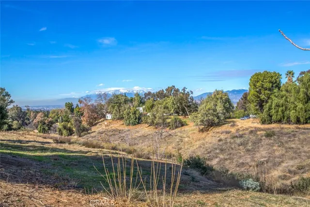 a view of a yard with large trees