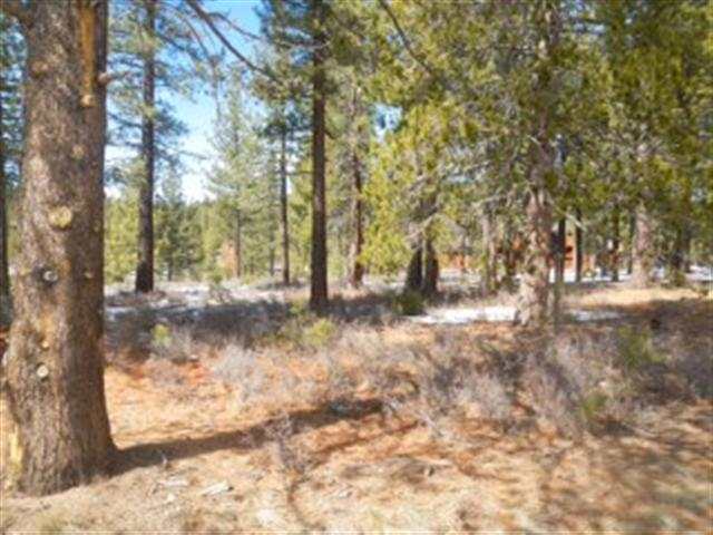 11110 Henness Road Truckee, CA 96161 - Photo 1 of 2 Gallery Image 1