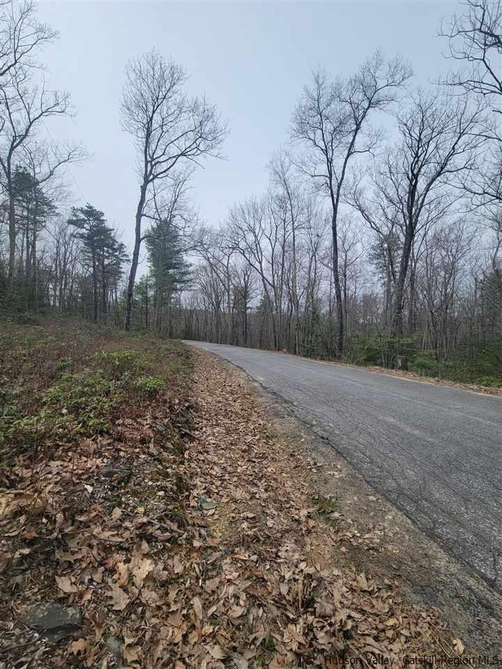 321-323 Bennett Road Ellenville, NY 12428 - Photo 3 of 4 Photo 3