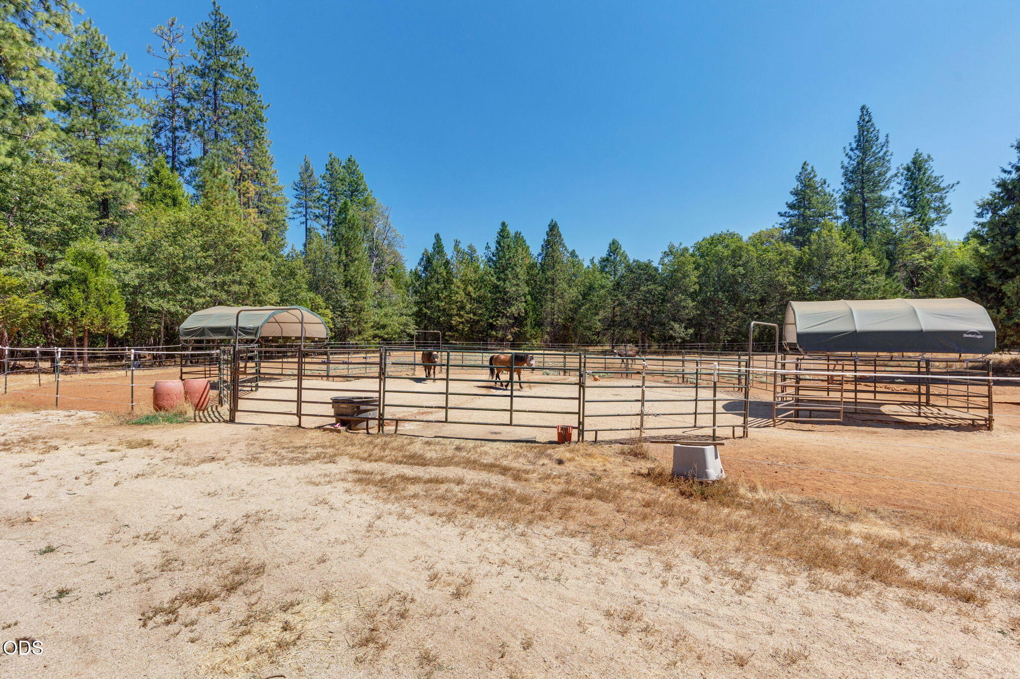 1650 Queens Branch Road Rogue River, OR 97537 - Photo 55 of 78 Gallery Image 55