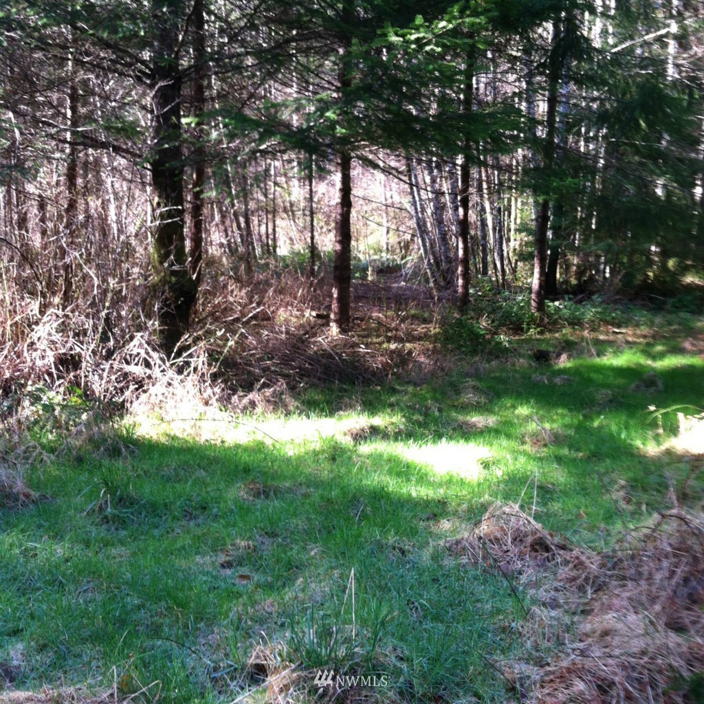 67 Badger Road Hoquiam, WA 98550 - Photo 2 of 13 Gallery Image 2