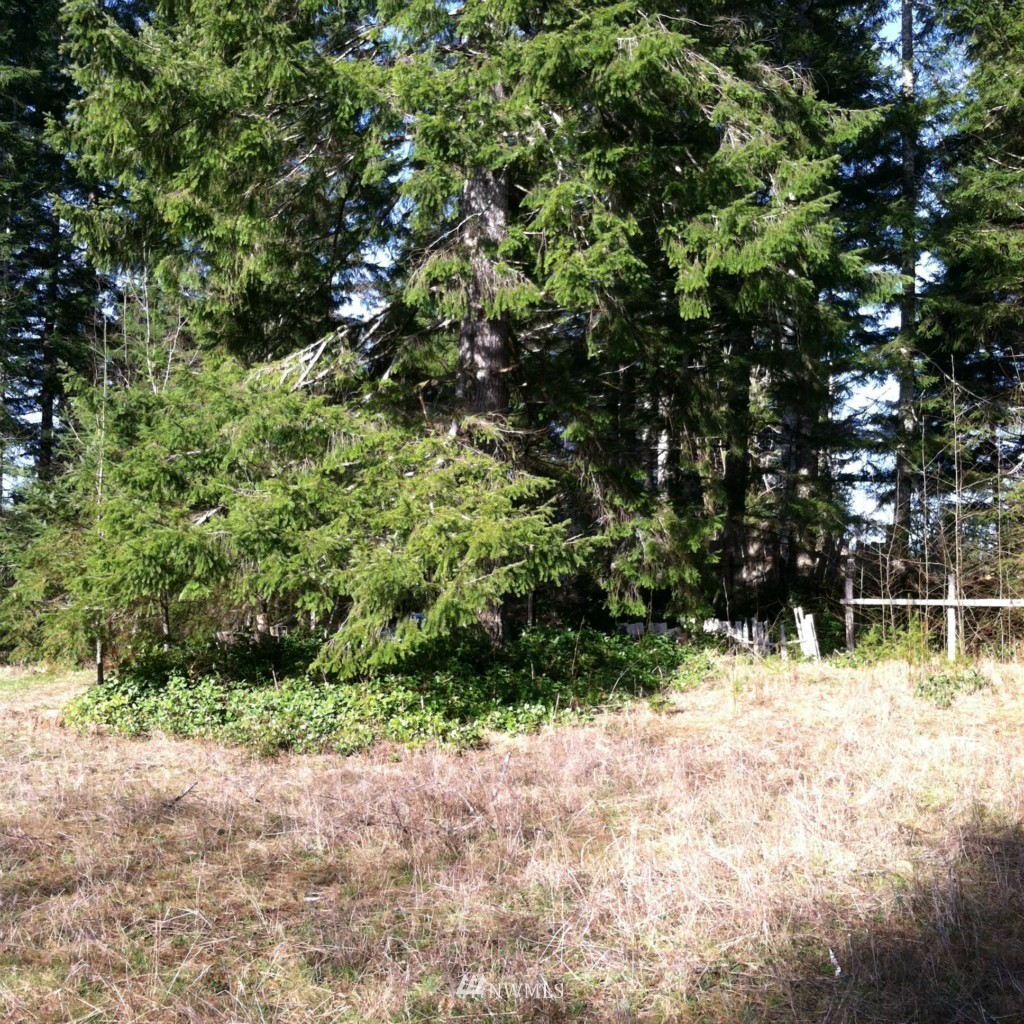 67 Badger Road Hoquiam, WA 98550 - Photo 4 of 13 Gallery Image 4