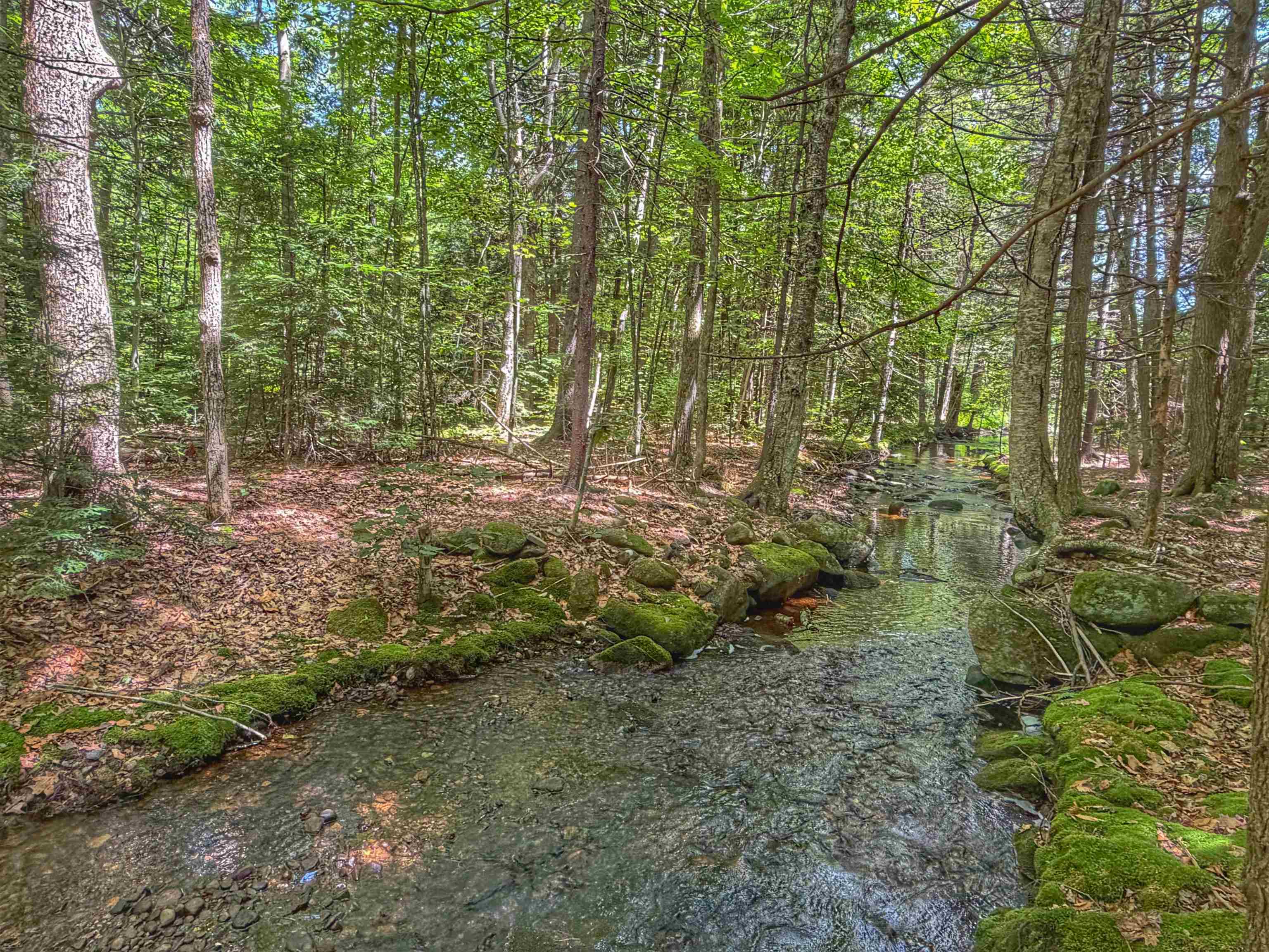 1238 Valley Road Washington, NH 03280 - Photo 9 of 42