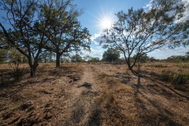 a view of a yard with a tree