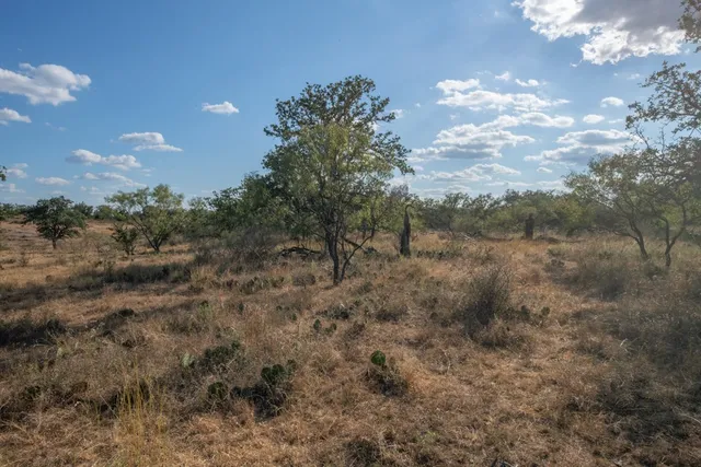 a view of a big yard with lots of bushes