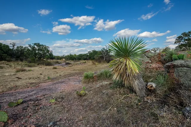 a view of a dry yard with wooden fence