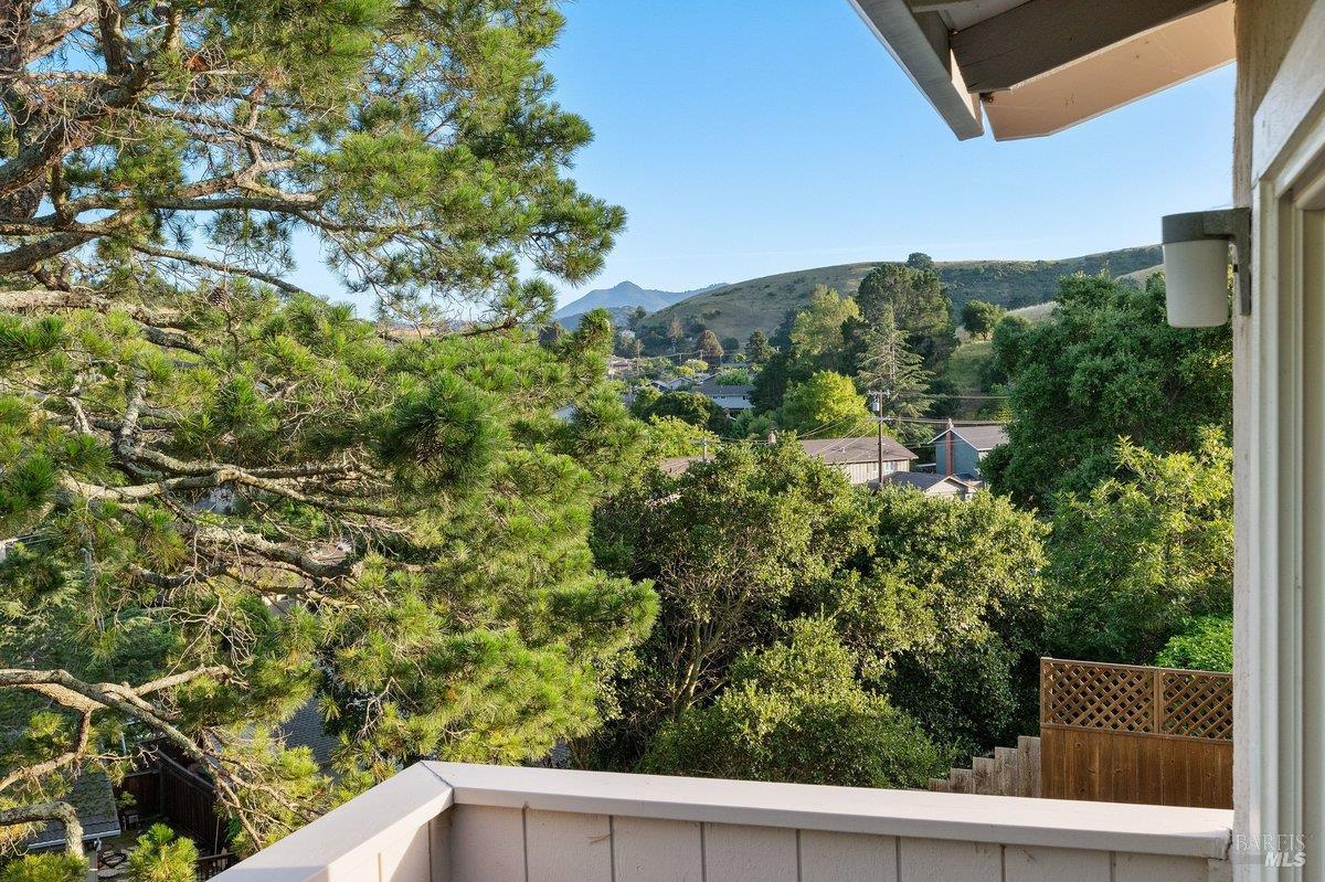116 Twelveoak Hill Drive San Rafael, CA 94903 - Photo 74 of 93 Mount Tamalpais in the distance