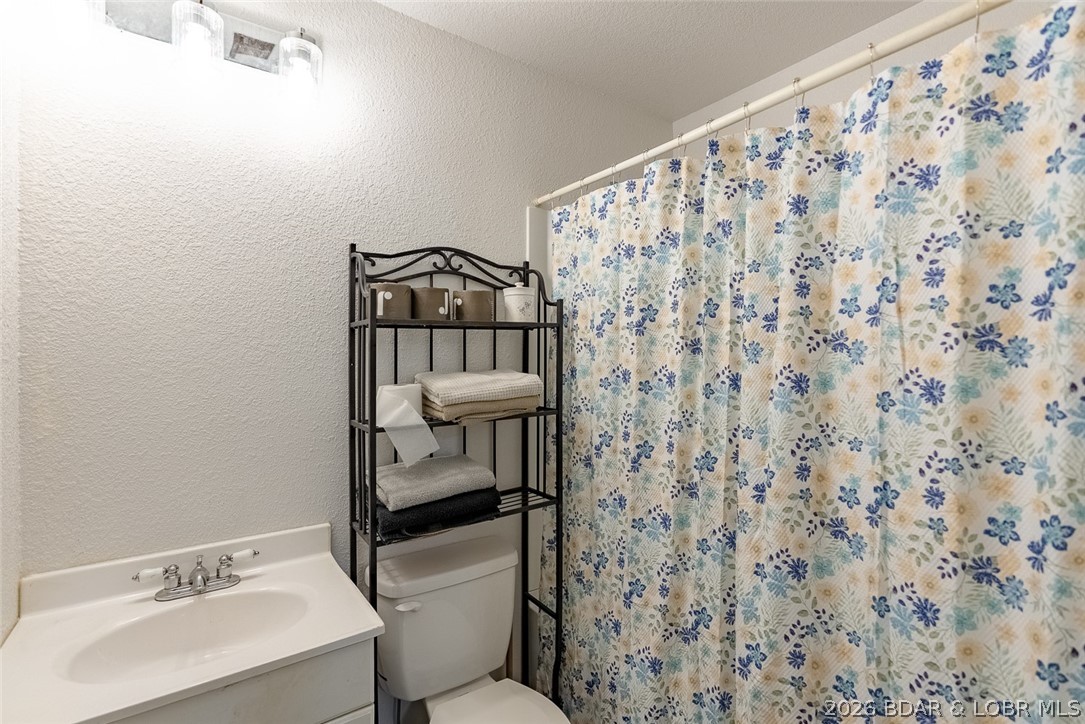 11218 Maries 225 Road Dixon, MO 65459 - Photo 13 of 60